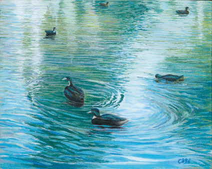 Les Canards sur le ruisseau noir